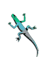 Lizard Chameleon Sticker by Metronomy