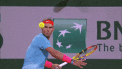 Vamos Spanish GIF by Roland-Garros