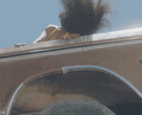 Hit Different GIF by SZA