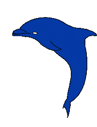 Dolphinhouse dolphinbeach dolphin beach country house Sticker
