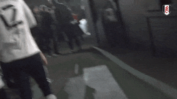 Premier League Yes GIF by Fulham FC