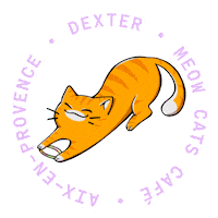 Aix-En-Provence Cute Cat Sticker by Meow Cats Café