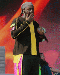 T-Pain Festival GIF by Respective