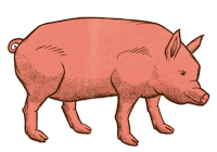 pork Sticker by Traeger Grills