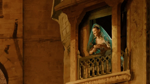 Enblecorsaire GIF by English National Ballet