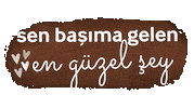 Mnksevlat Sticker