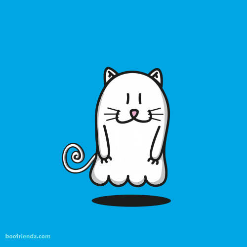 ghost cat GIF by Omer