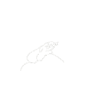 kamirice_illustration new animal rabbit check Sticker