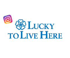 new york instagram Sticker by Lucky To Live Here