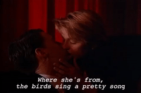 season 1 GIF by Twin Peaks on Showtime