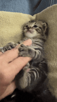 Awesome Strike A Pose GIF