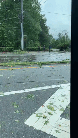 Debris Scattered on Atlanta Road After Tornado Touches Down