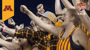 College Sports Minnesota GIF by College Colors Day