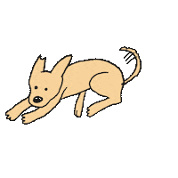 International Dog Day Sticker