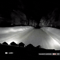 Car Omg GIF by FIA World Rally Championship