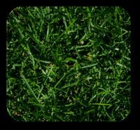 Ohio Downtown GIF by Cleveland Public Square