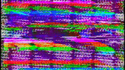 Los Angeles Television GIF by Gay Felony Productrans