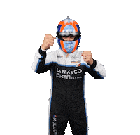 Yvan Muller Thumbs Up Sticker by FIA World Touring Car Cup
