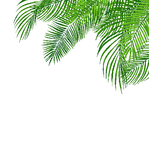 Palm Tree Sticker by Exchange LA