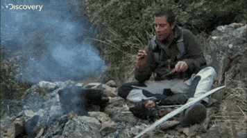 bear grylls GIF