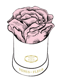 Valentines Day Pink Sticker by Venus ET Fleur