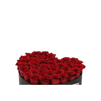 Happy Birthday Thank You Sticker by Blooming Box