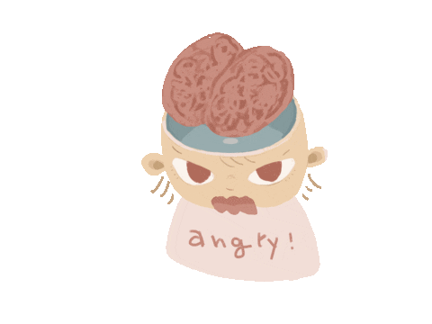 sunameri angry sunameri Sticker