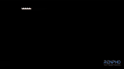 Fitness Health GIF by RENPHO