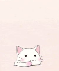 Cat Sleep GIF