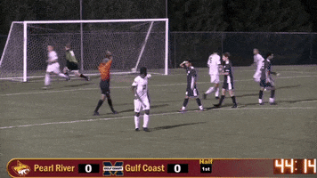 PRCCAthletics soccer wildcats juco prcc GIF