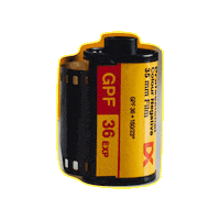 expiredfilmclub film yellow photography photo Sticker