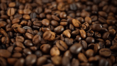 melting-elements giphygifmaker coffee sustainable coffee farmers GIF