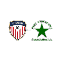 Sport Sticker by Groene ster
