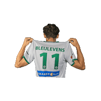 Sport Heerlen Sticker by Groene ster