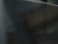 BlackViolinMusic music music video look window GIF