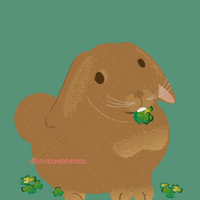 Best Wishes Good Luck GIF