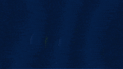 Nfl GIF by Seattle Seahawks