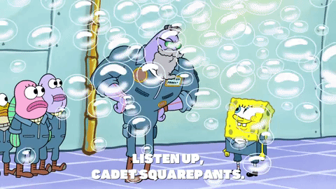 season 9 episode 3 GIF by SpongeBob SquarePants