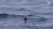 on my way swimming GIF by Great Big Story