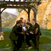 air groom GIF
