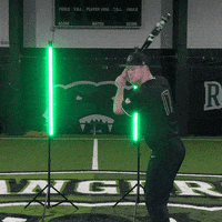 Parkside Baseball GIF by Parkside Athletics