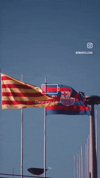 Football Fans GIF