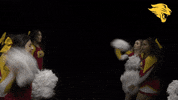 Dazzlers GIF by CUCougars
