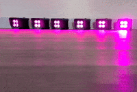 Close Up Walking GIF by Crissy Conner