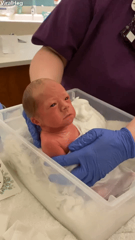 Grumpy Girl’s First Bath