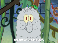season 4 GIF by SpongeBob SquarePants