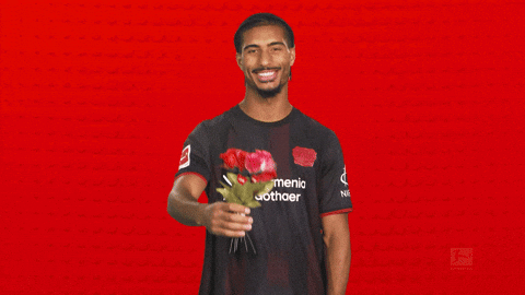Bayer Leverkusen GIF by Bundesliga