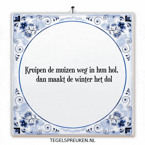 Winter Humor GIF by Tegelspreuken.nl