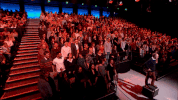 tv show yes GIF