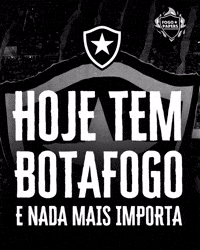 Botafogo De Futebol E Regatas GIF